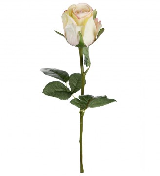 Rose 50cm gul