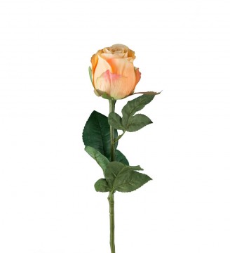 Rose 50cm oransje