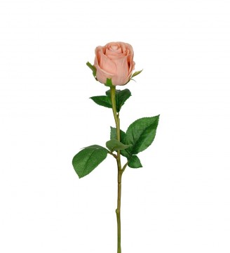 Rose 50cm beige