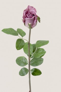 Rose 50cm Lilla