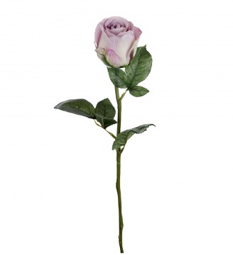 Rose 50cm lilla