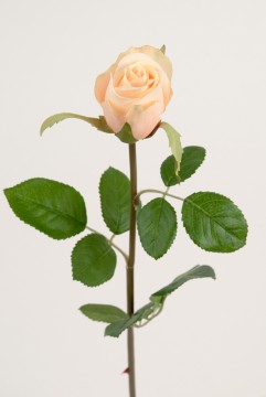 Rose 50cm Gul