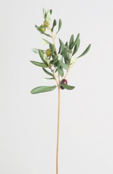Olivenkvist 55cm